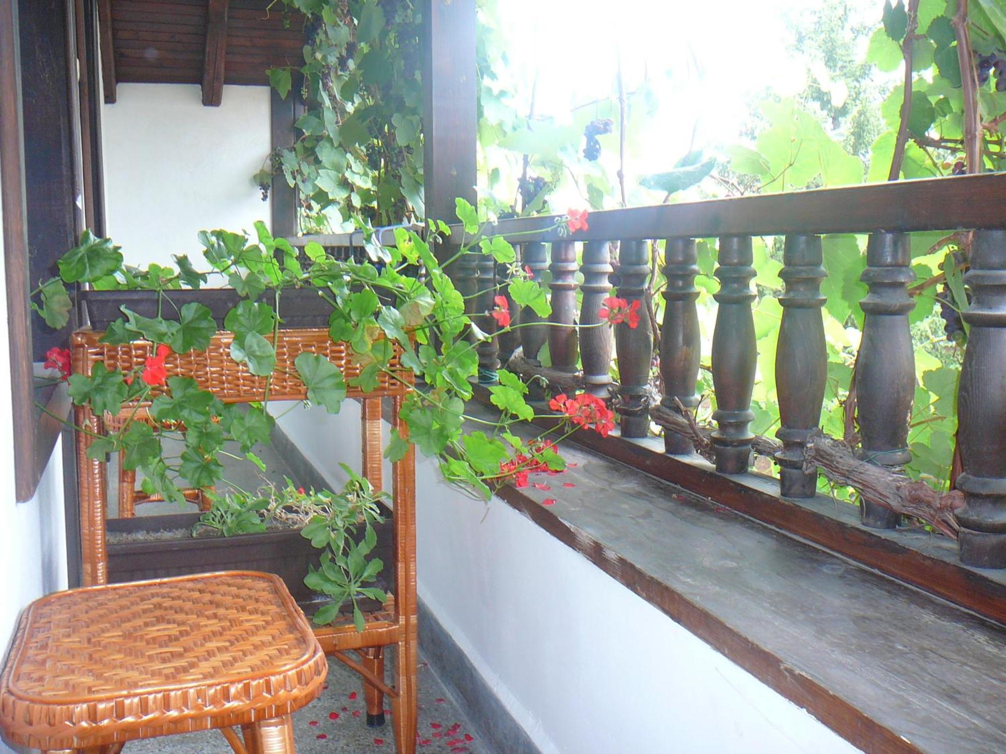 Къща За Гости Типик Bansko Exterior foto